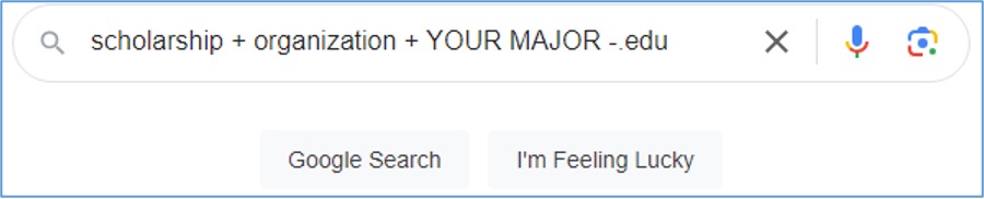 A screenshot of a search term for finding scholarships online.